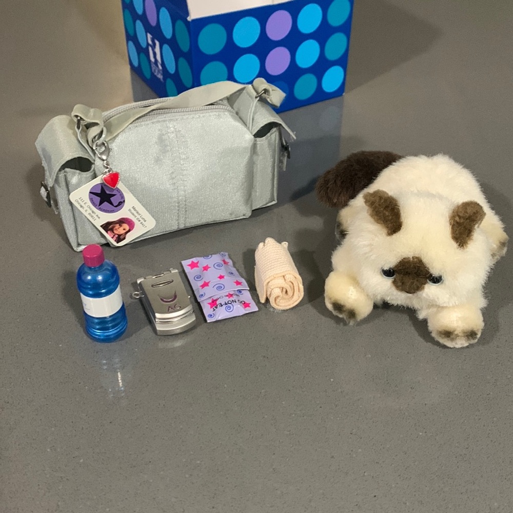 American Girl dance bag and cat for Marisol
